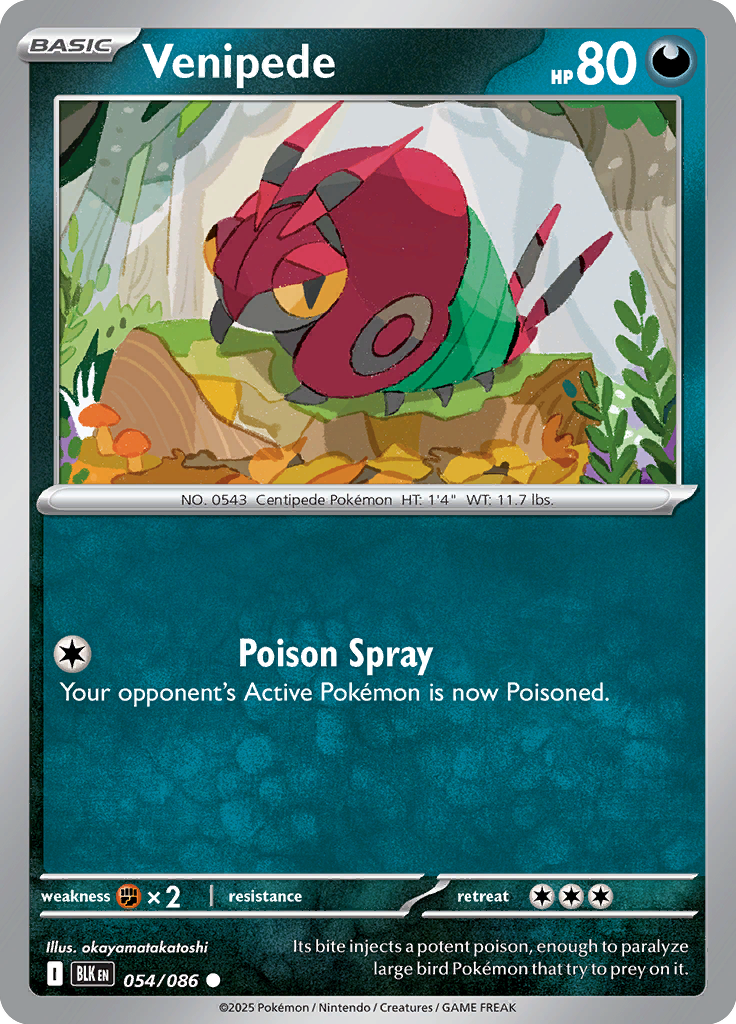 Pidgeotto - Card #054 from Pokemon TCG Black Bolt set