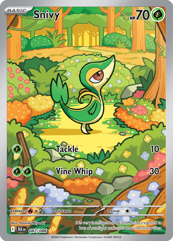 Snivy - Card #087 from Pokemon TCG Black Bolt set