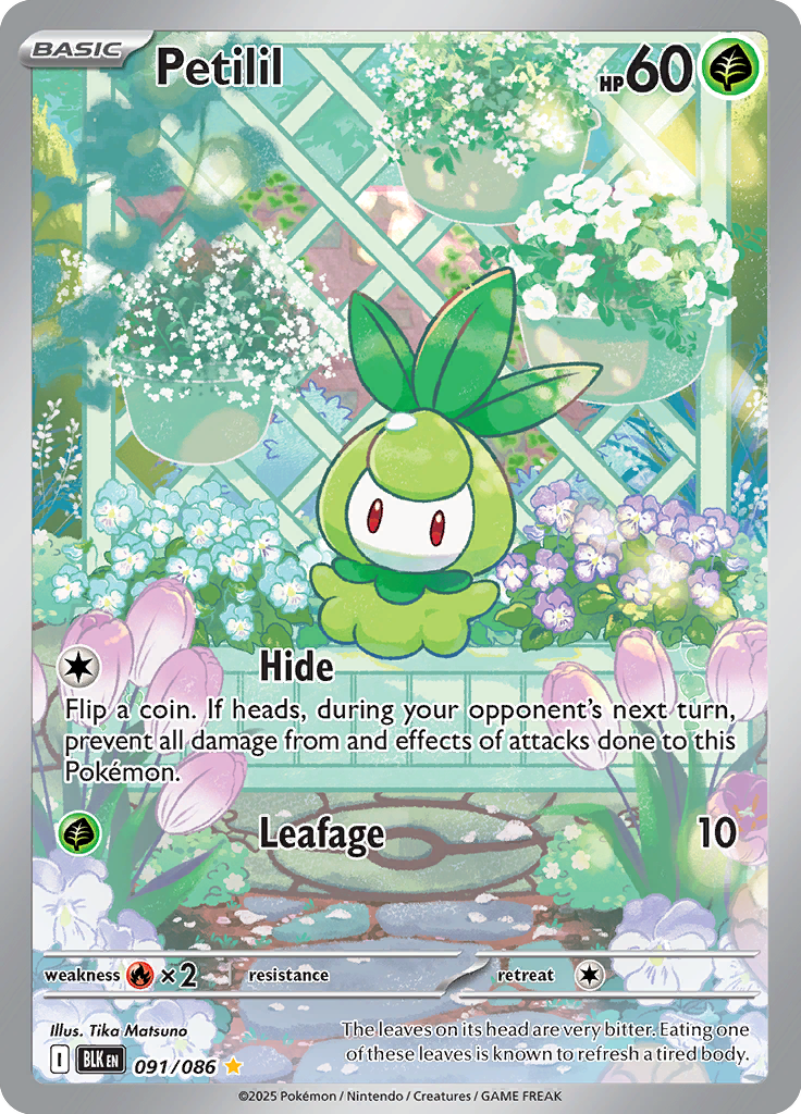 Petilil - Card #091 from Pokemon TCG Black Bolt set