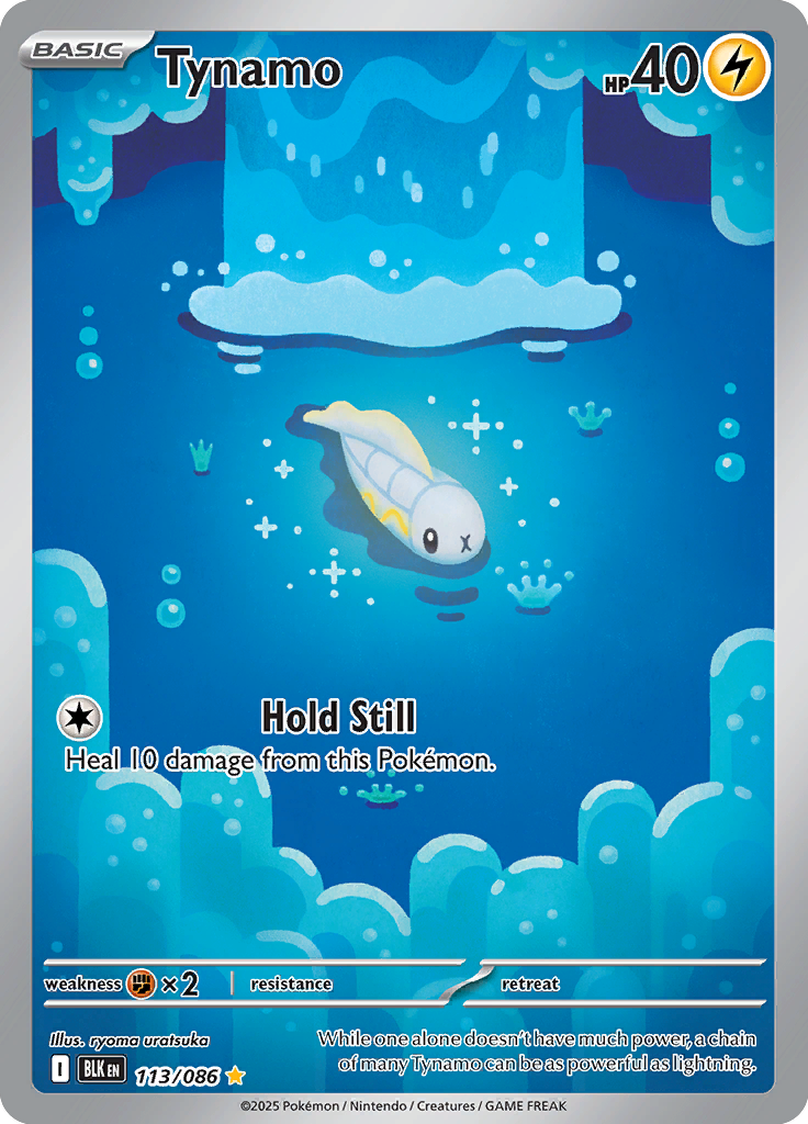 Beartic - Card #113 from Pokemon TCG Black Bolt set