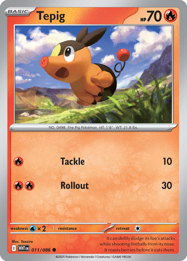 Tepig - Card #011 from Pokemon TCG White Flare set