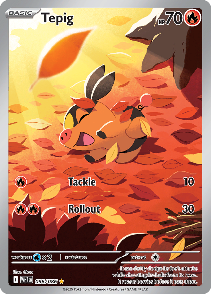 Tepig - Card #096 from Pokemon TCG White Flare set