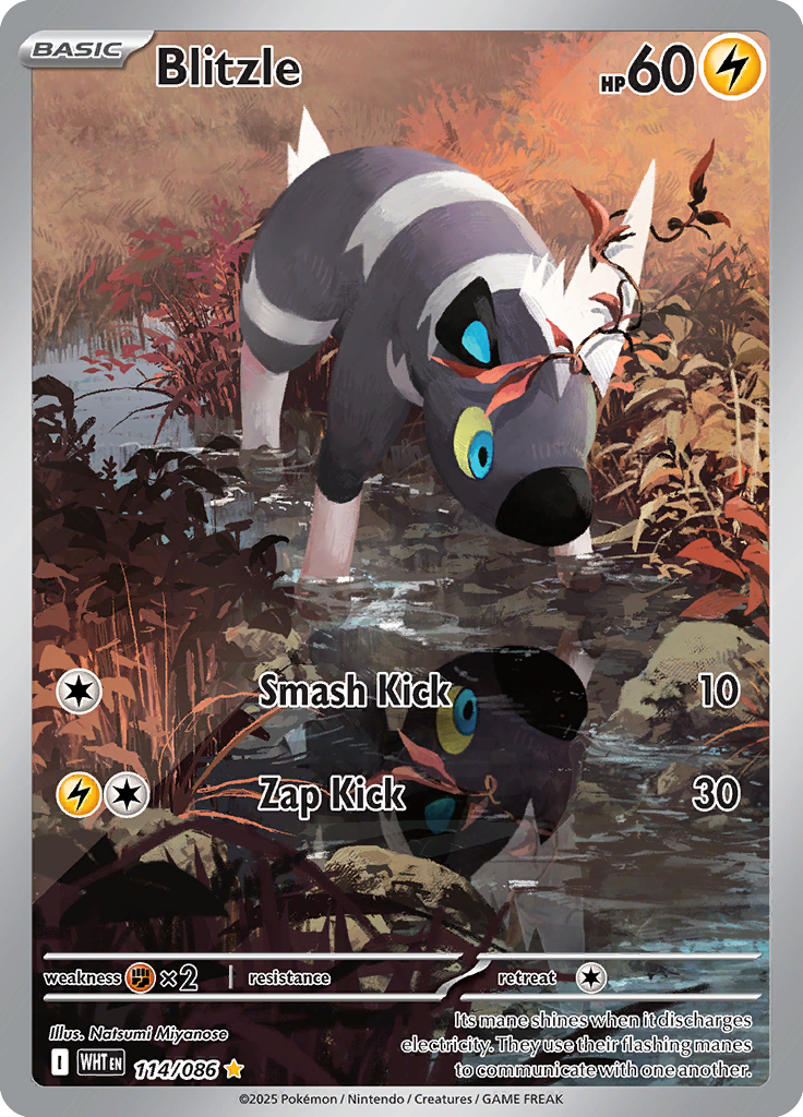 Galvantula - Card #114 from Pokemon TCG White Flare set