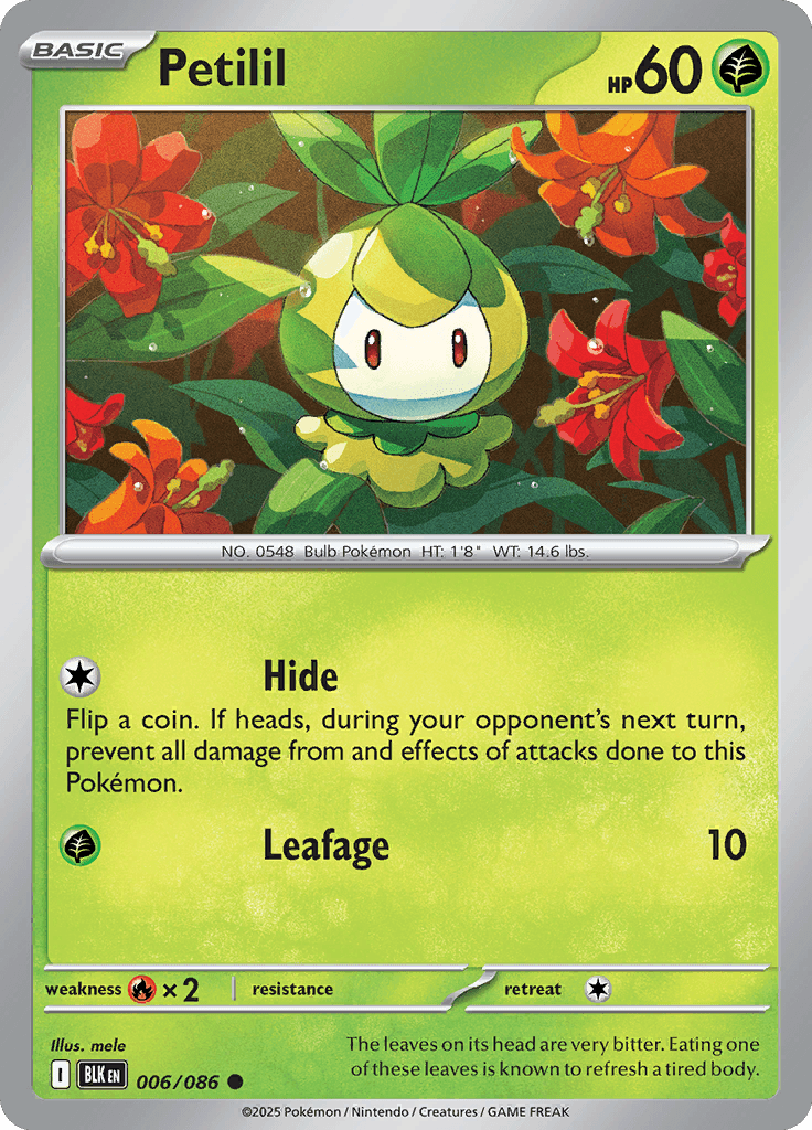 Black Bolt Pokemon card #006 - high resolution TCG trading card image