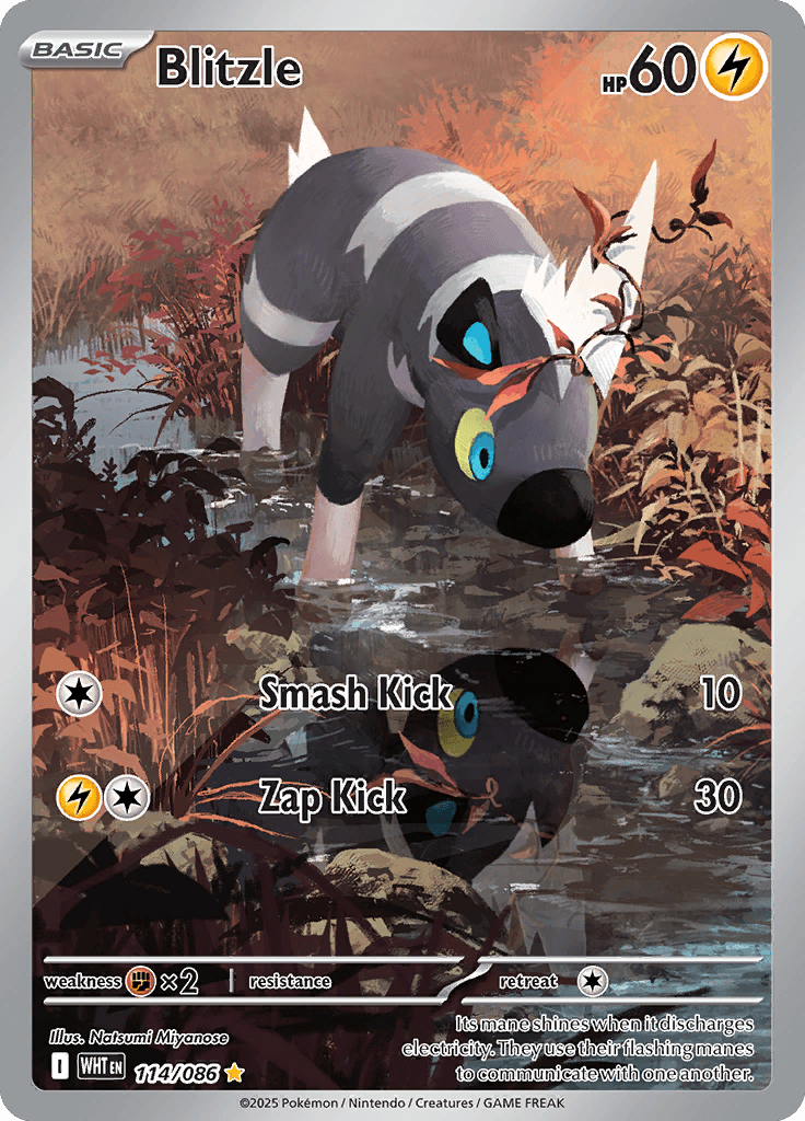 White Flare Pokemon card #114 - high resolution TCG trading card image