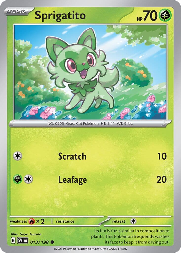 Scarlet & Violet Pokemon card #013 - high resolution TCG trading card image